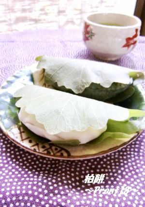 柏餅-レシピのメイン写真