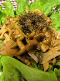きのこの塩麹ホットサラダ-レシピのメイン写真