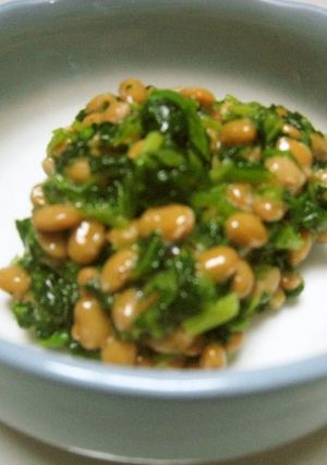 野菜を食べよう☆ほうれん草入り納豆-レシピのメイン写真