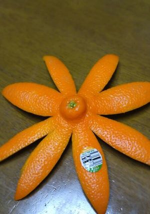 オレンジ、柑橘系の食べ方♪(お花ver)-レシピのメイン写真