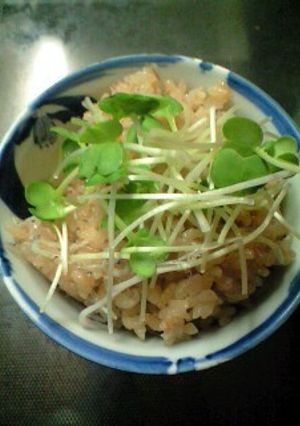 ぽん酢ご飯-レシピのメイン写真