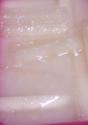 塩麹たくあん!簡単美味しい(^-^)/-レシピのメイン写真