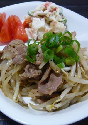 にんにく風味の肉炒め！？-レシピのメイン写真