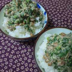 รูปของ 美味しく健康♪あしたば納豆