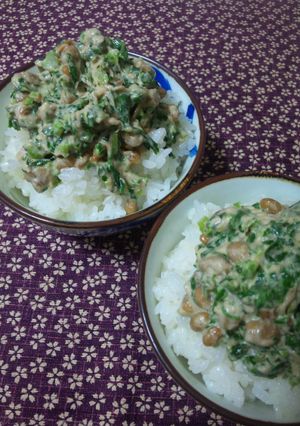 美味しく健康♪あしたば納豆-レシピのメイン写真