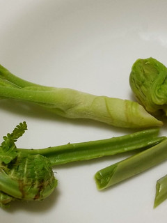 旬の味♪木の芽を食する(1)サラダ-レシピのメイン写真