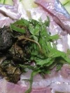 シメ鯵-レシピのメイン写真
