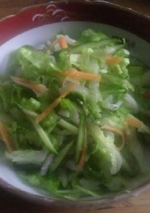 塩麹でもりもり食べちゃう野菜サラダ♪-レシピのメイン写真