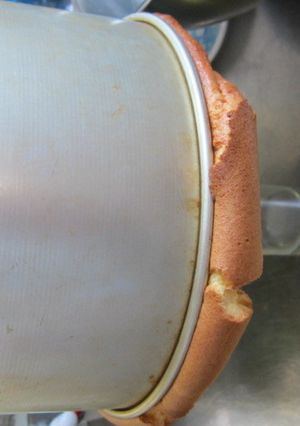 塩麹のシフォンケーキ-レシピのメイン写真