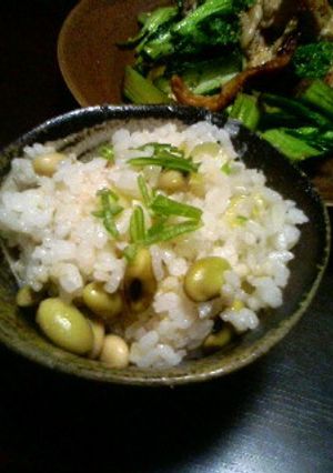 プレ農家めし◆塩麹で炊き込みネギごはん-レシピのメイン写真