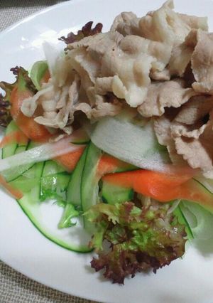野菜たっぷりしゃぶしゃぶサラダ-レシピのメイン写真