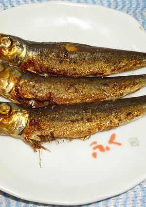 パパの焼きうるめいわし-レシピのメイン写真