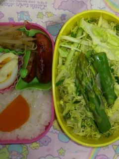 私のお弁当4月24日-レシピのメイン写真