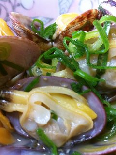 レンジで簡単!あさりの酒蒸し-レシピのメイン写真