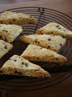 おからとチョコのスコーン-レシピのメイン写真