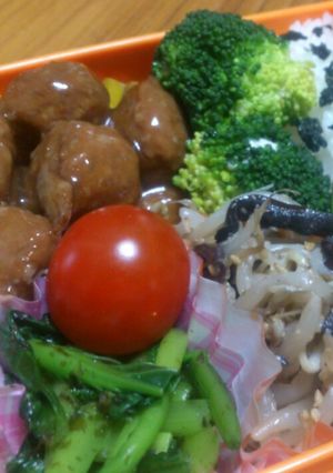 らんち色々(記録用)-レシピのメイン写真