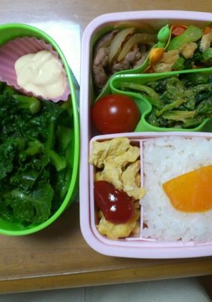 私のお弁当4月25日-レシピのメイン写真