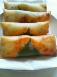 ささみとチーズの春巻きフライ-レシピのメイン写真