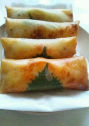 ささみとチーズの春巻きフライ-レシピのメイン写真