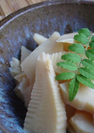 ☆たけのこ煮物☆-レシピのメイン写真