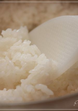 お米のプロ直伝☆土鍋ご飯☆-レシピのメイン写真
