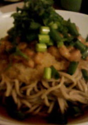 簡単！納豆おろし蕎麦-レシピのメイン写真