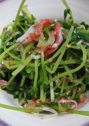 塩麹✿豆苗がモリモリ食べられる和え物✿-レシピのメイン写真