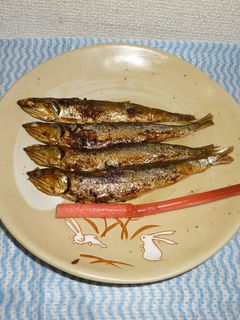 パパの焼きめざし(パートⅢ)-レシピのメイン写真