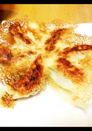 お弁当に入れてもOKな簡単餃子-レシピのメイン写真