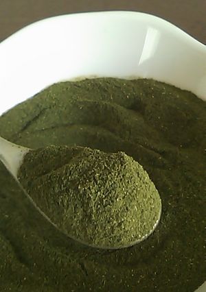 普通のお茶が早変わり！お茶の粉末♪-レシピのメイン写真