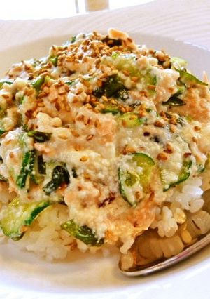 鮭のぶっかけ崩し豆腐ご飯♪-レシピのメイン写真