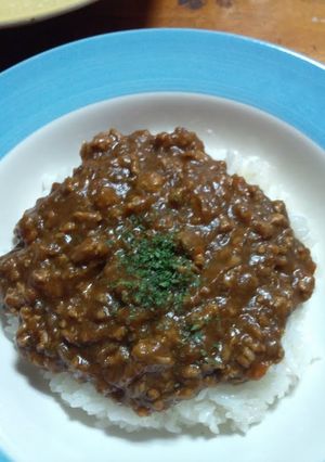 ドライキーマカレー-レシピのメイン写真