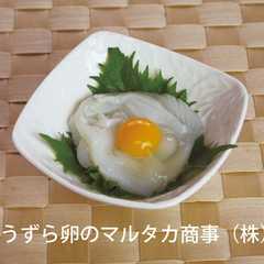 おつまみ◎うずら卵deイカソーメン◎-レシピのメイン写真