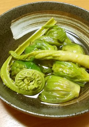 旬の味♪木の芽を食する（３）煮ていただく-レシピのメイン写真