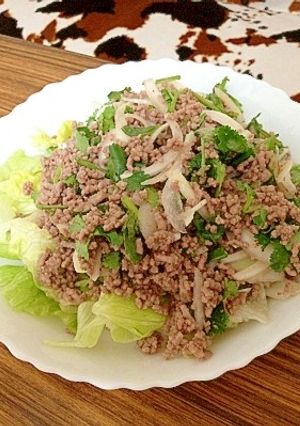 ラープムウ★タイの豚挽き肉幸せサラダ-レシピのメイン写真