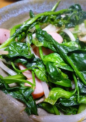 菜園家は是非♪間引きエンドウの豆苗炒め-レシピのメイン写真