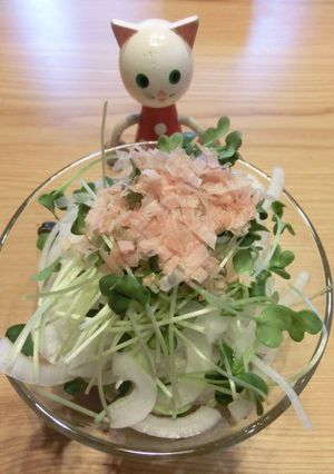 新たまねぎ×カイワレ大根 血液サラサラダ-レシピのメイン写真