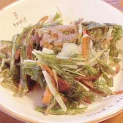 รูปของ きんぴらのかき揚げ