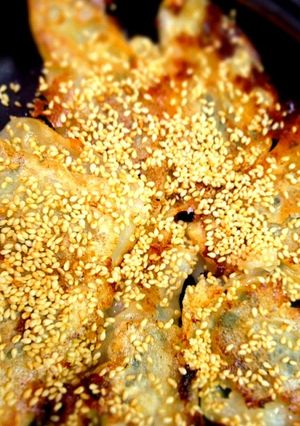 ゴマたっぷり塩麹入りニラ餃子-レシピのメイン写真