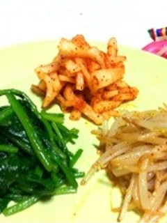もやし・ほうれん草・大根*ナムル3種*-レシピのメイン写真