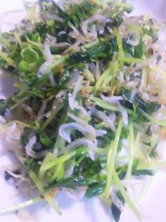 豆苗としらすのカリカリ炒め-レシピのメイン写真