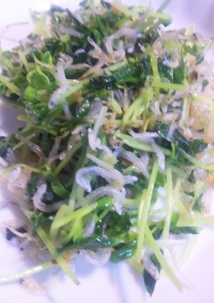 豆苗としらすのカリカリ炒め-レシピのメイン写真