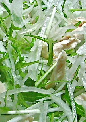 鶏ささみと野菜のサラダ-レシピのメイン写真