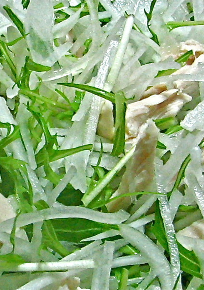 鶏ささみと野菜のサラダ-レシピのメイン写真