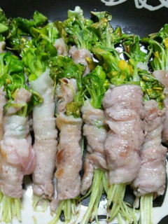 おつまみに♪貝割れの豚巻き-レシピのメイン写真