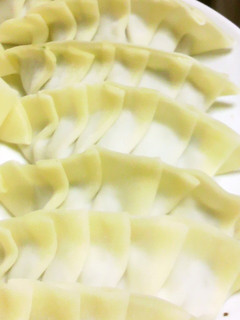 絶品 ジューシー餃子-レシピのメイン写真