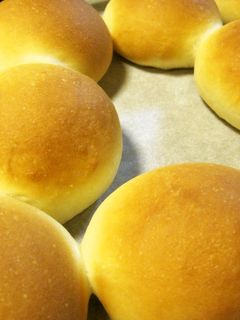 菓子パン用生地(HB)-レシピのメイン写真