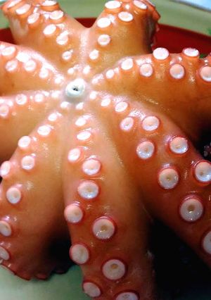【茹でタコ】タコのゆで方 真蛸を茹でる-レシピのメイン写真