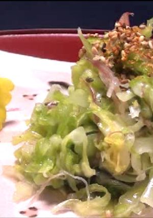 キャベツと香味野菜のおつまみコールスロー-レシピのメイン写真