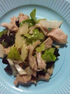 簡単〜蒸し鶏とセロリのヘルシーサラダ-レシピのメイン写真